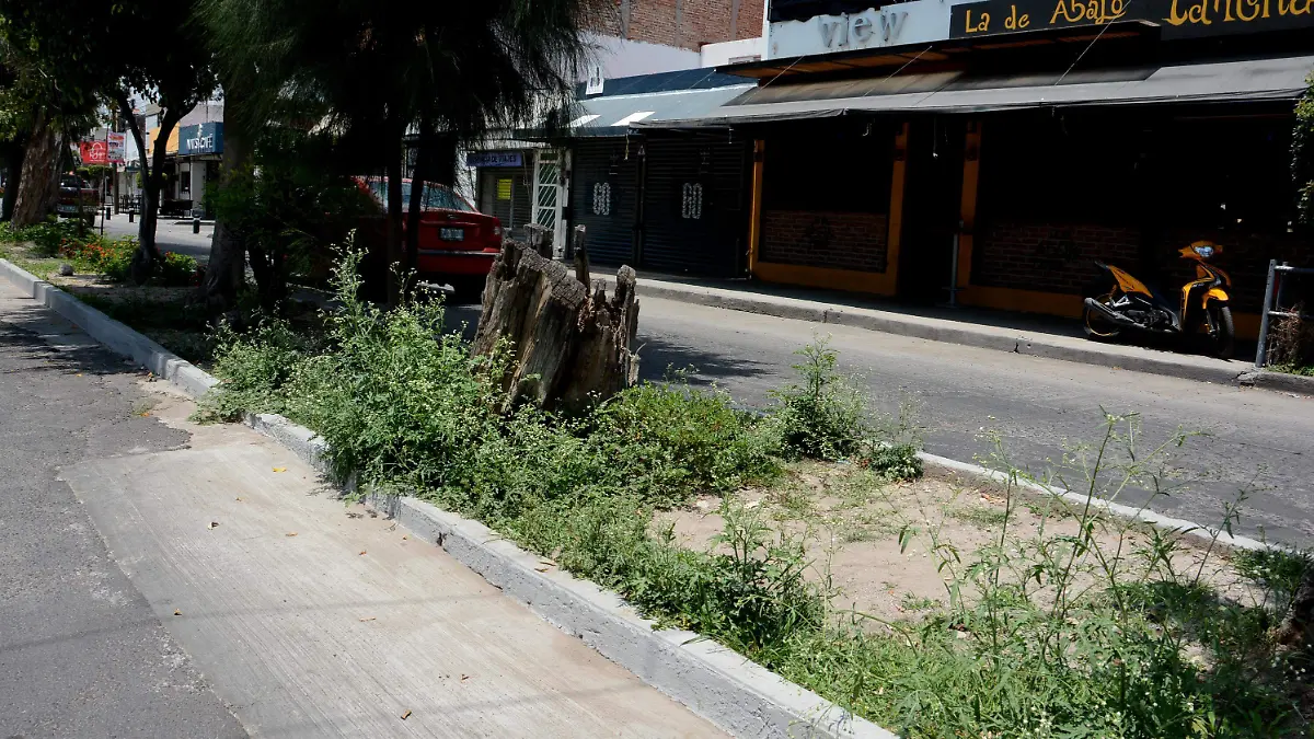 las fuentes (5) ok