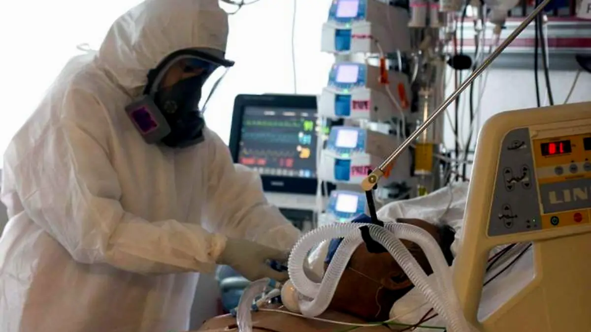 WhatsApp Image 2021-10-19 at 8.02.02 PM