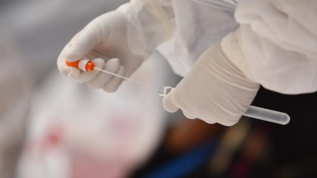 WhatsApp Image 2020-11-25 at 5.10.39 PM