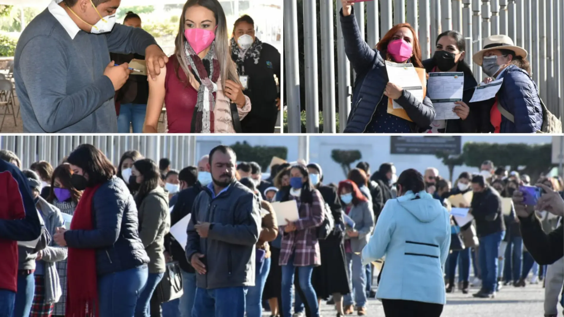 vacunacion-covid-celaya-docentes