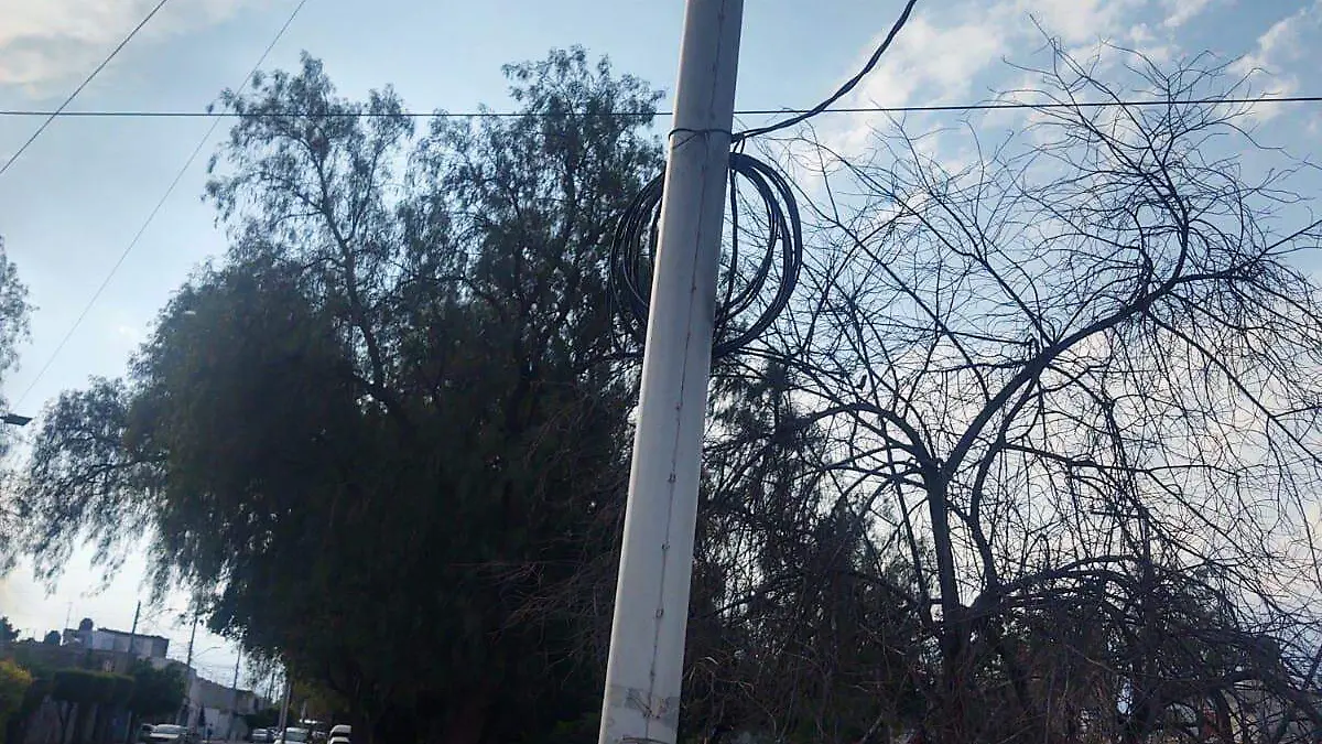 Todos-fueron-reportados