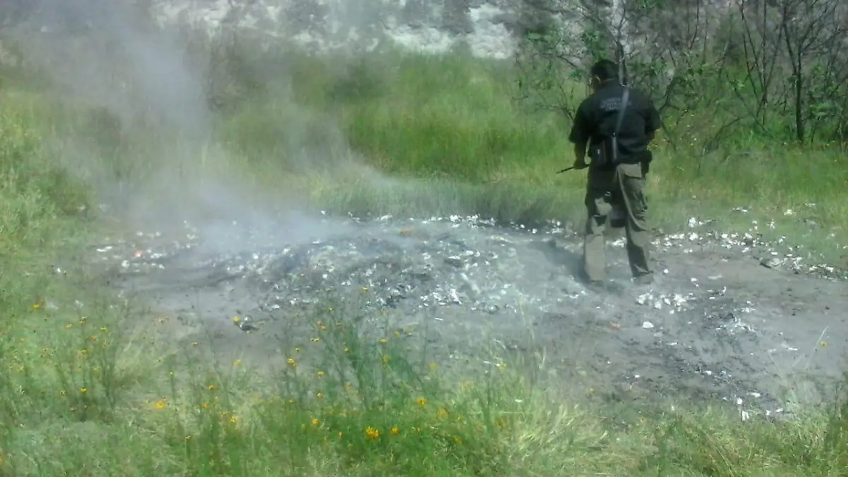 WhatsApp Image 2019-10-11 at 3.58.47 PM