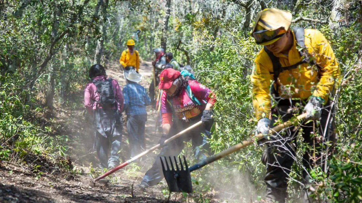 WhatsApp Image 2021-03-30 at 7.56.51 PM