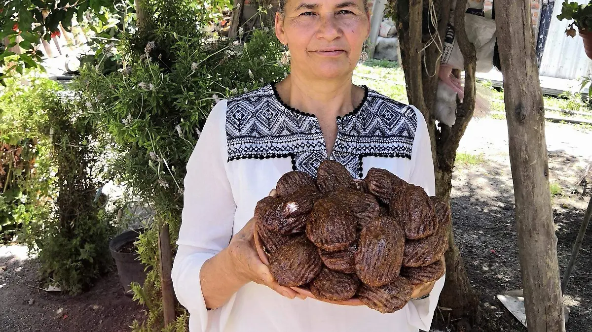 CO-210419 - NOTA 02 (1)