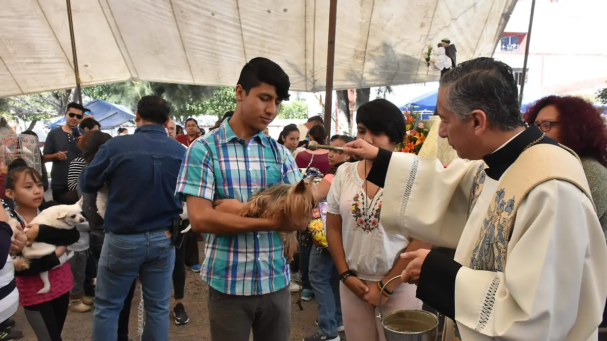 Bendicion Animales (11)