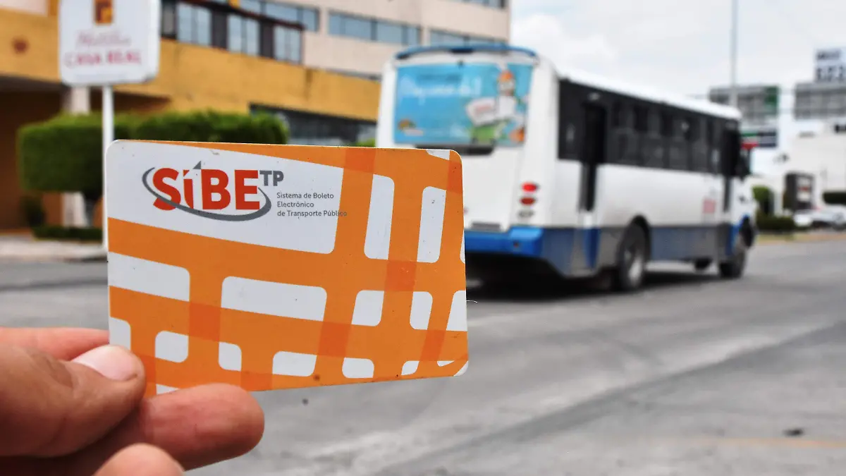 SIBE (3)