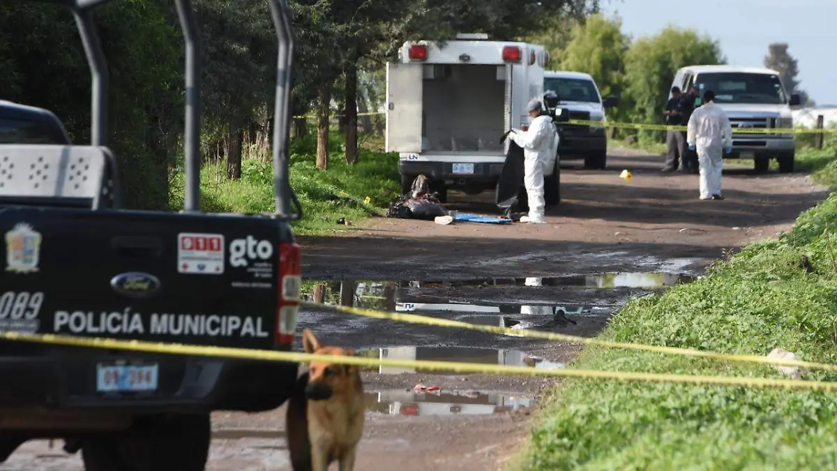 WhatsApp Image 2021-01-20 at 6.13.52 PM