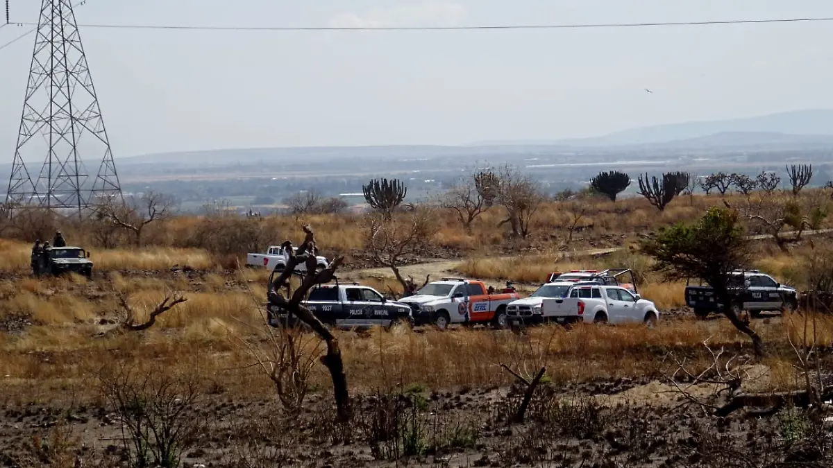 WhatsApp Image 2021-09-01 at 6.16.31 PM