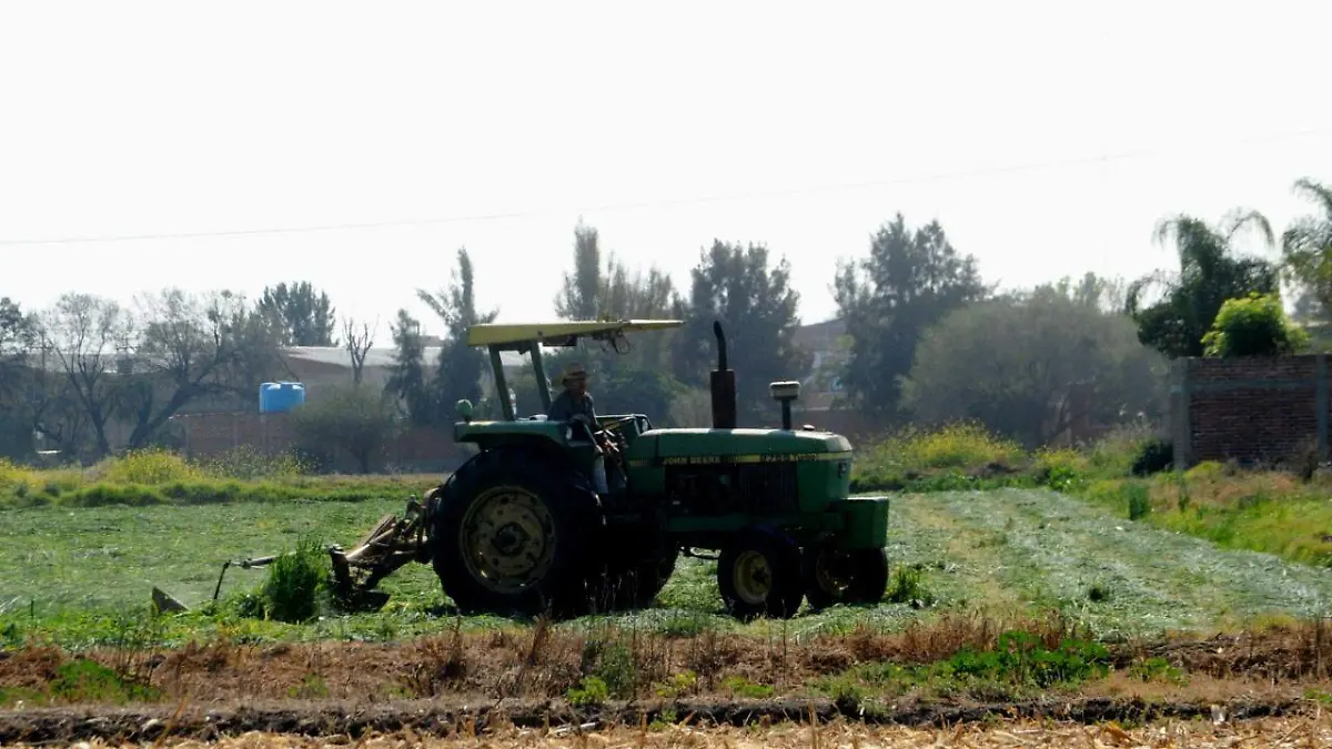 producción (2) ok