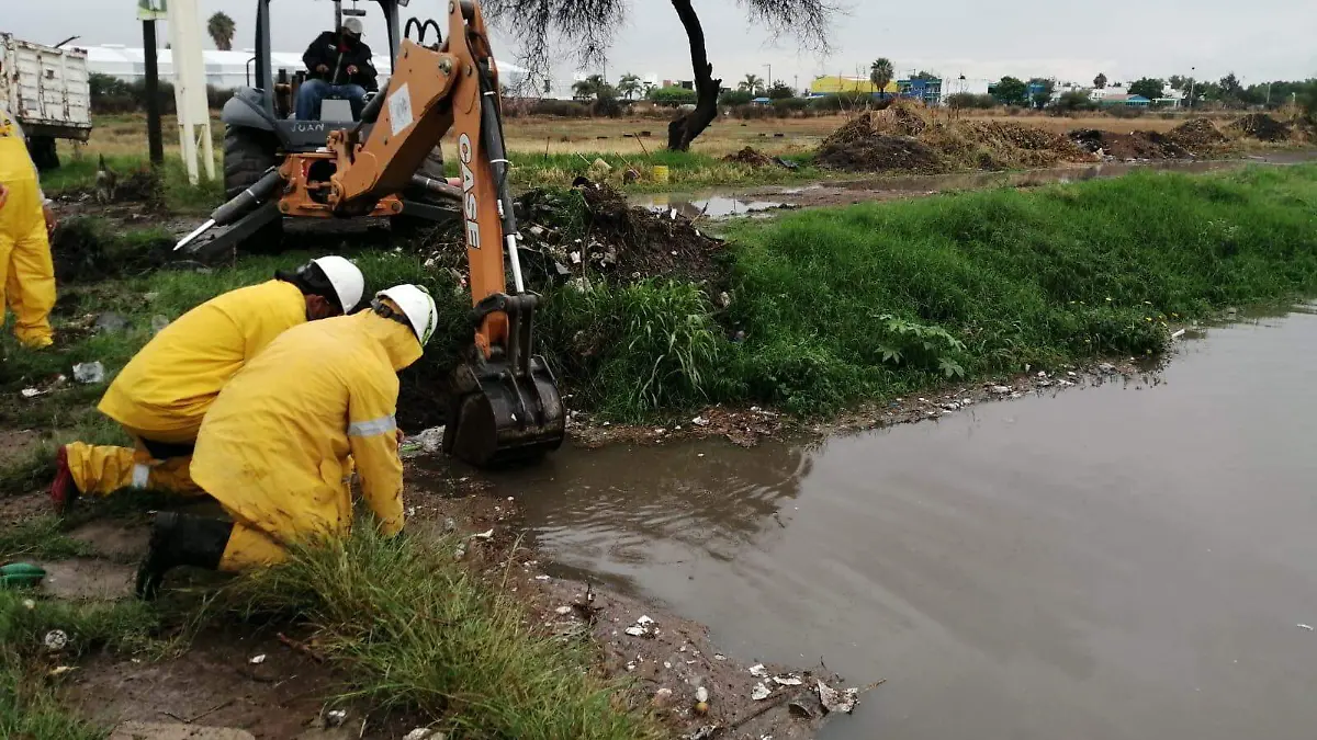 WhatsApp Image 2021-06-22 at 12.59.34 PM