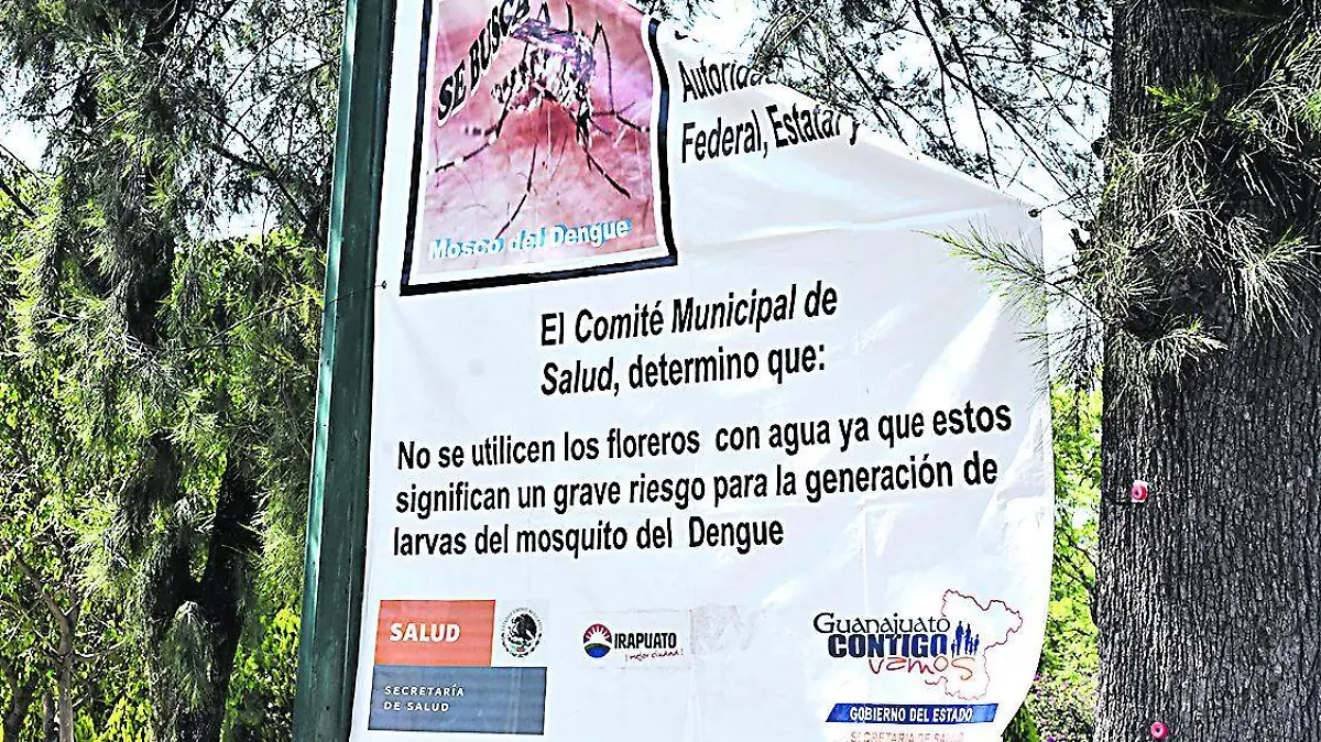 Se duplican a 97 casos de dengue (4)