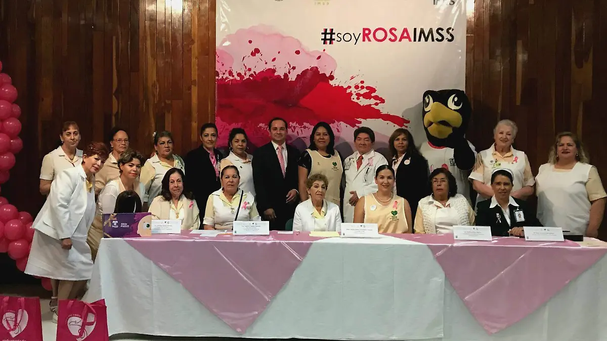 imss buena