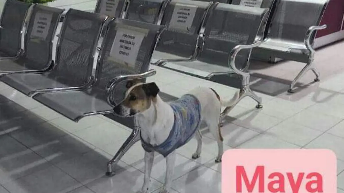 WhatsApp Image 2021-01-27 at 6.53.13 PM