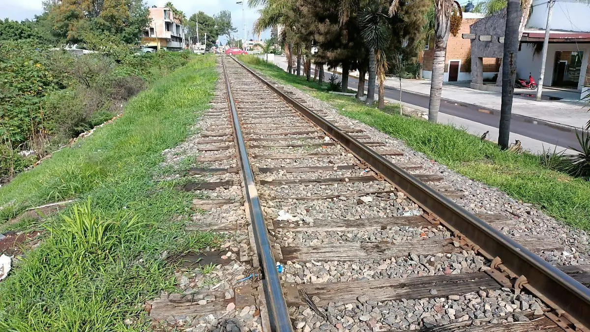 WhatsApp Image 2021-07-13 at 10.57.49 AM