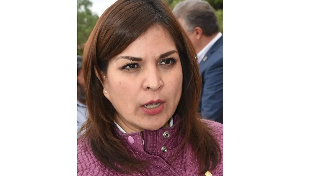 Elvira Paniagua (2)1