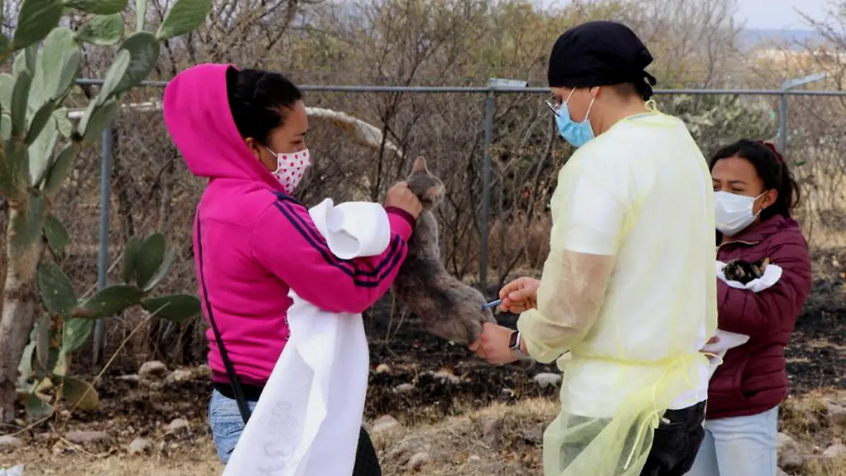esterilización  (1)