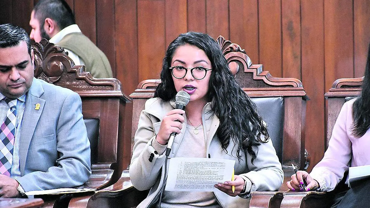 Sesion de Ayuntamiento (21)