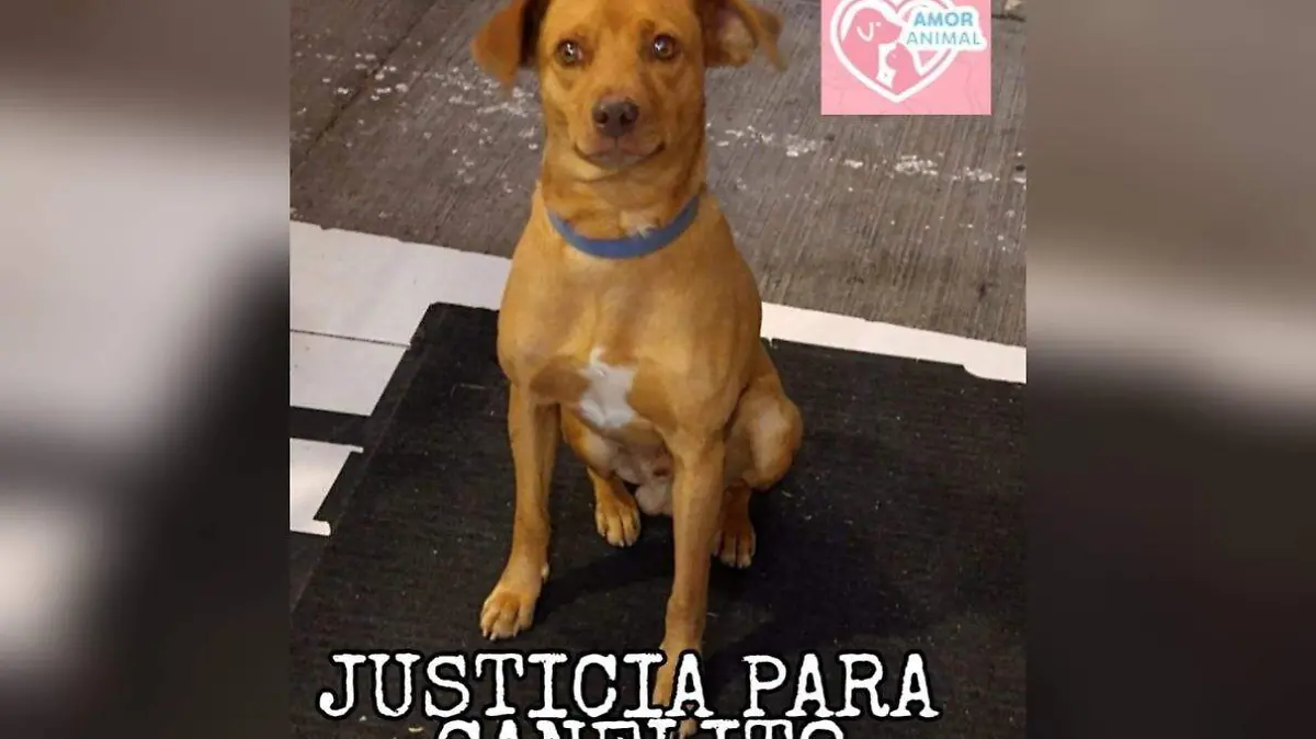 WhatsApp Image 2021-07-01 at 1.02.04 PM