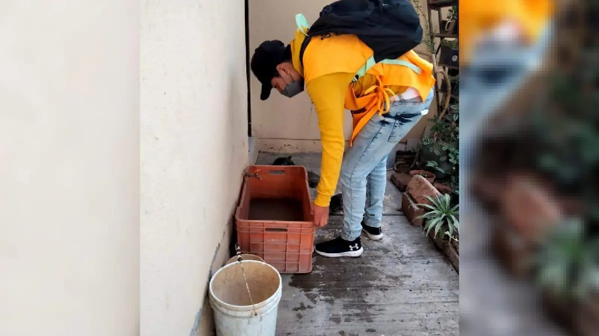 65776853-67c2-4588-873a-297abcf0a002