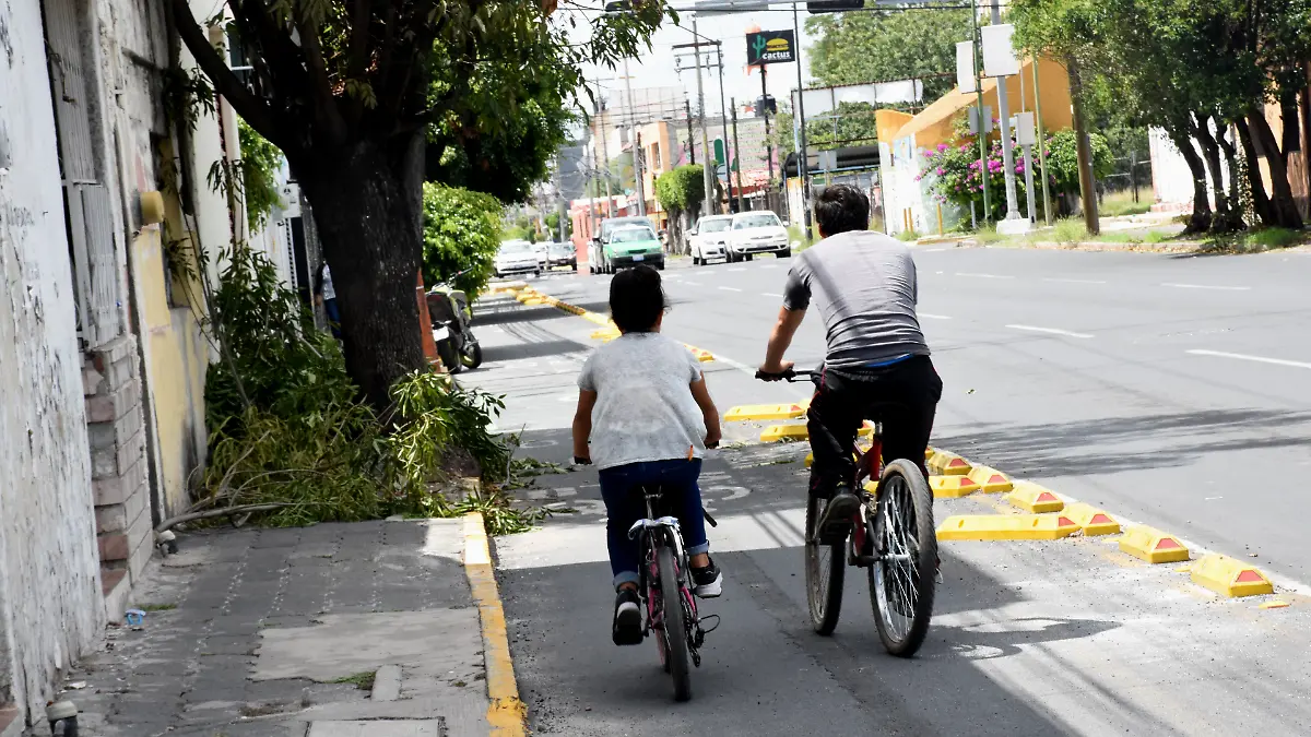 ciclovia (6) ok