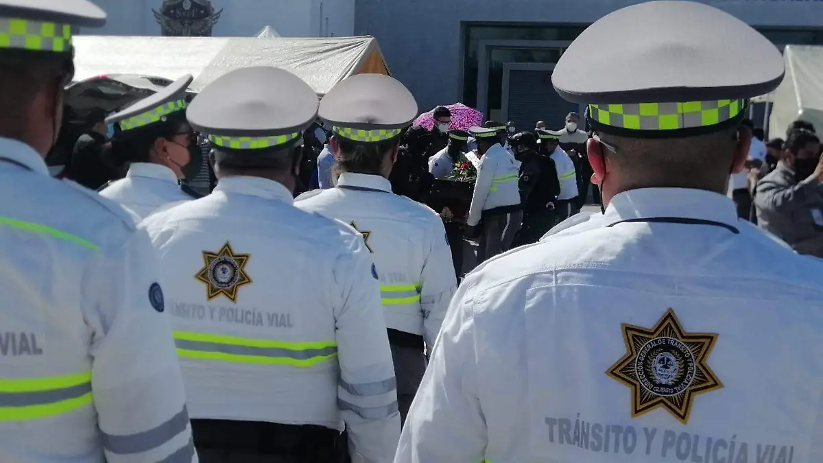 homenaje-a-tránsitos