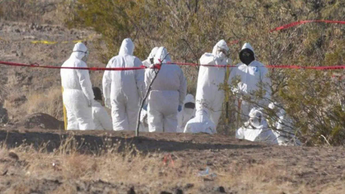 WhatsApp Image 2020-11-05 at 1.40.40 PM