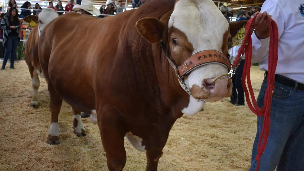 WhatsApp Image 2021-01-28 at 4.51.03 PM