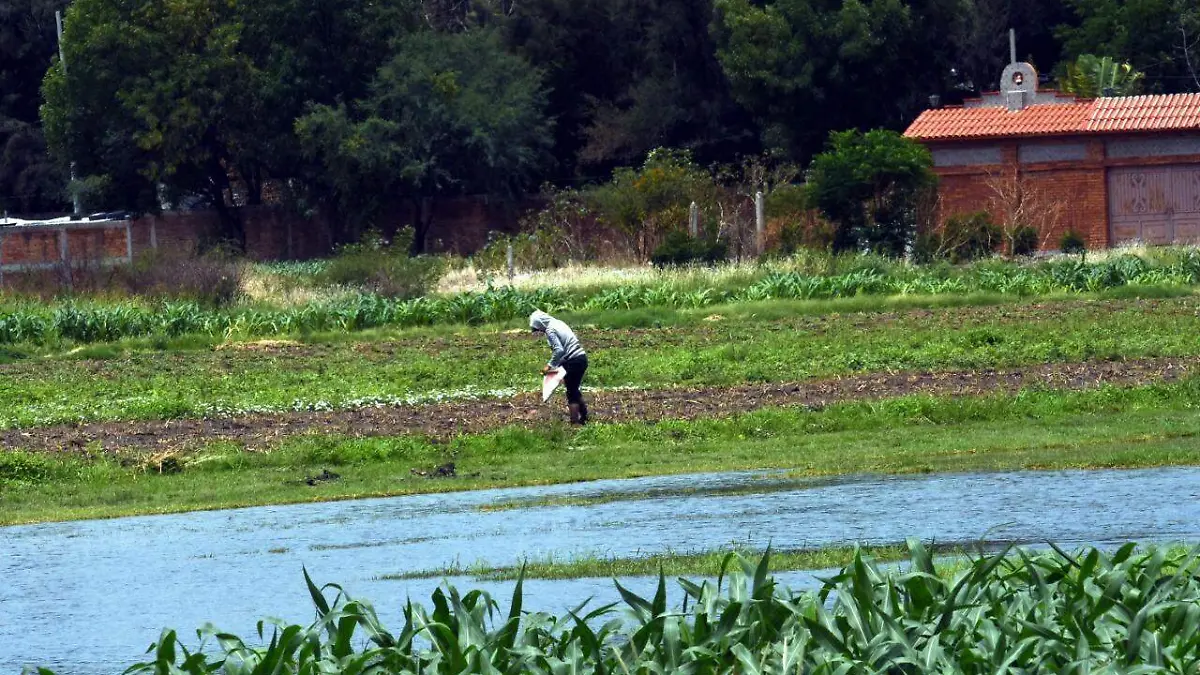 WhatsApp Image 2021-03-28 at 7.13.38 PM