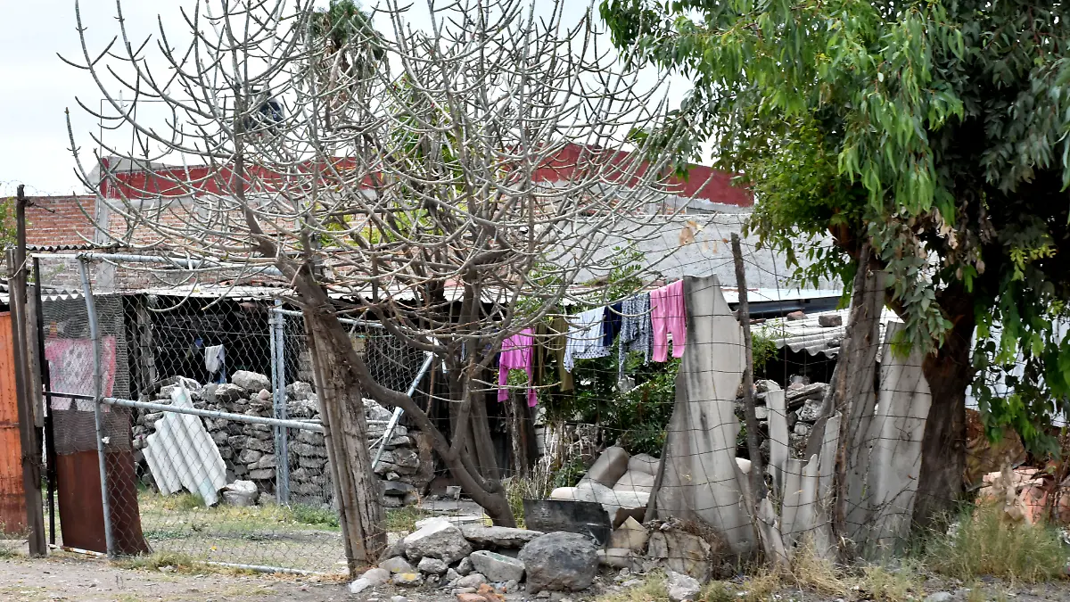 Tejido Social (5) ok