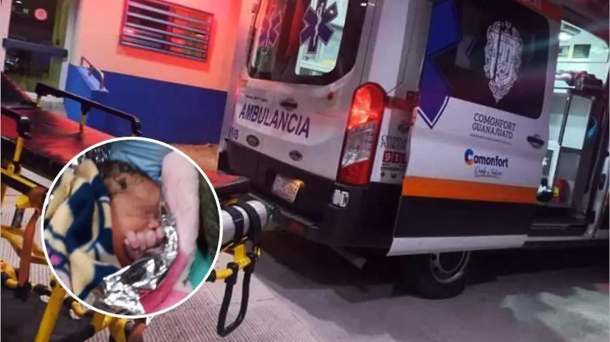 56d0ca86-5f86-4f21-a89b-10b3cf0d5123