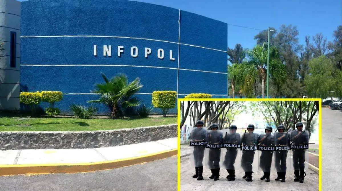 WhatsApp Image 2020-06-22 at 7.50.01 PM