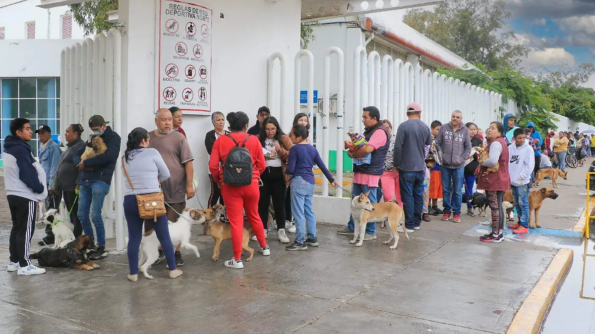 Los cortazarenses acudieron