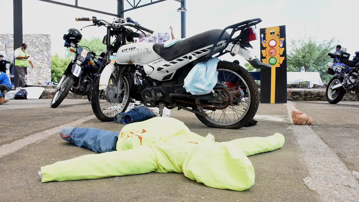 motoferia (6)