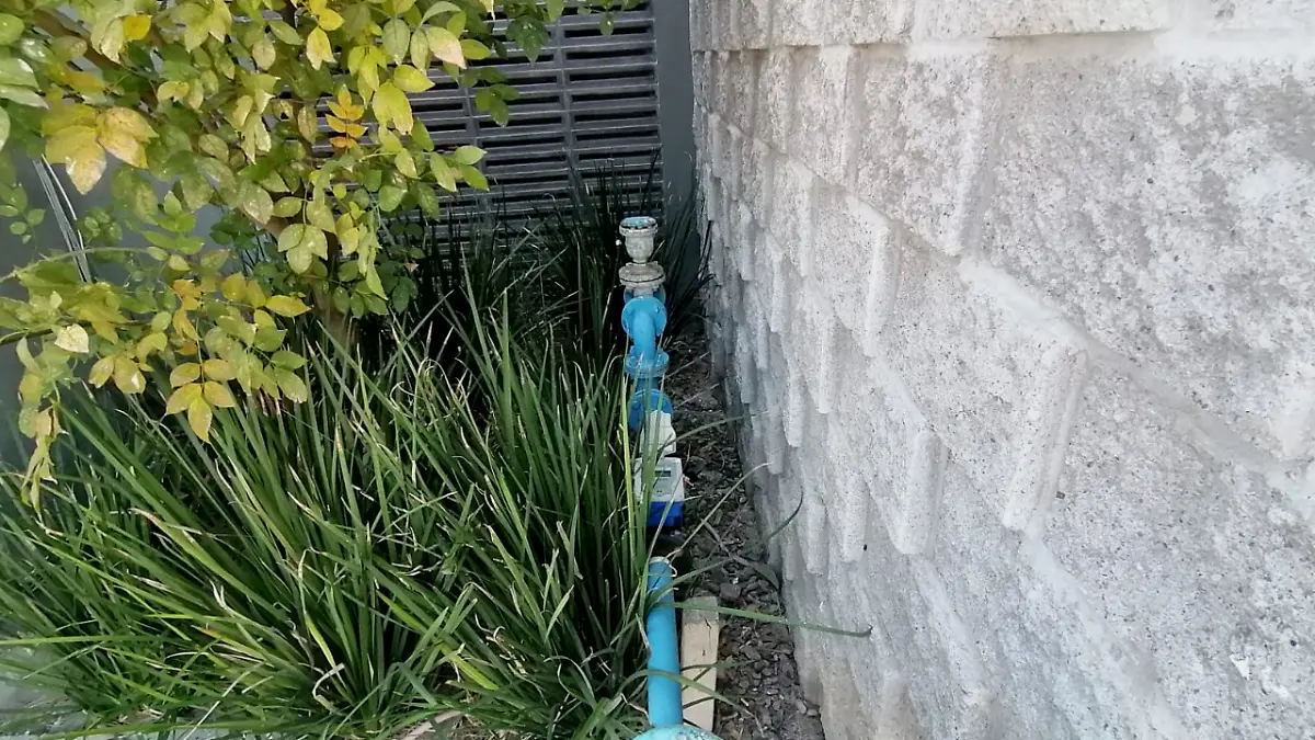 Estas-acciones-forman 