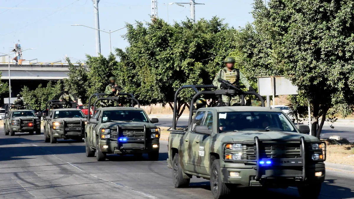 Guardia y Ejercito (1) ok