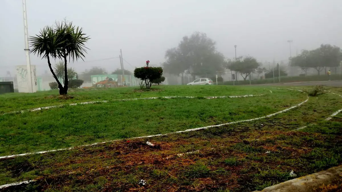 cambio climatico (1) ok