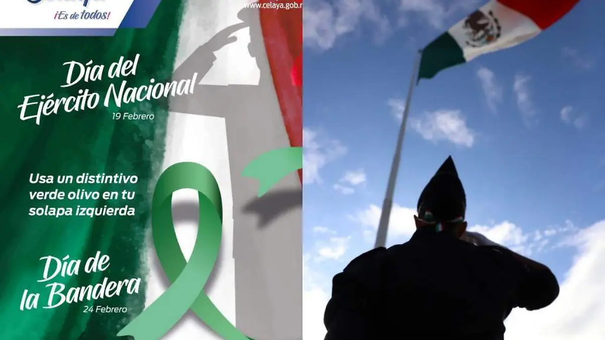 WhatsApp Image 2021-02-19 at 11.15.38 AM