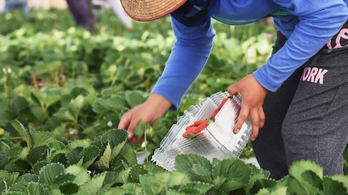 WhatsApp Image 2020-12-25 at 5.37.36 PM