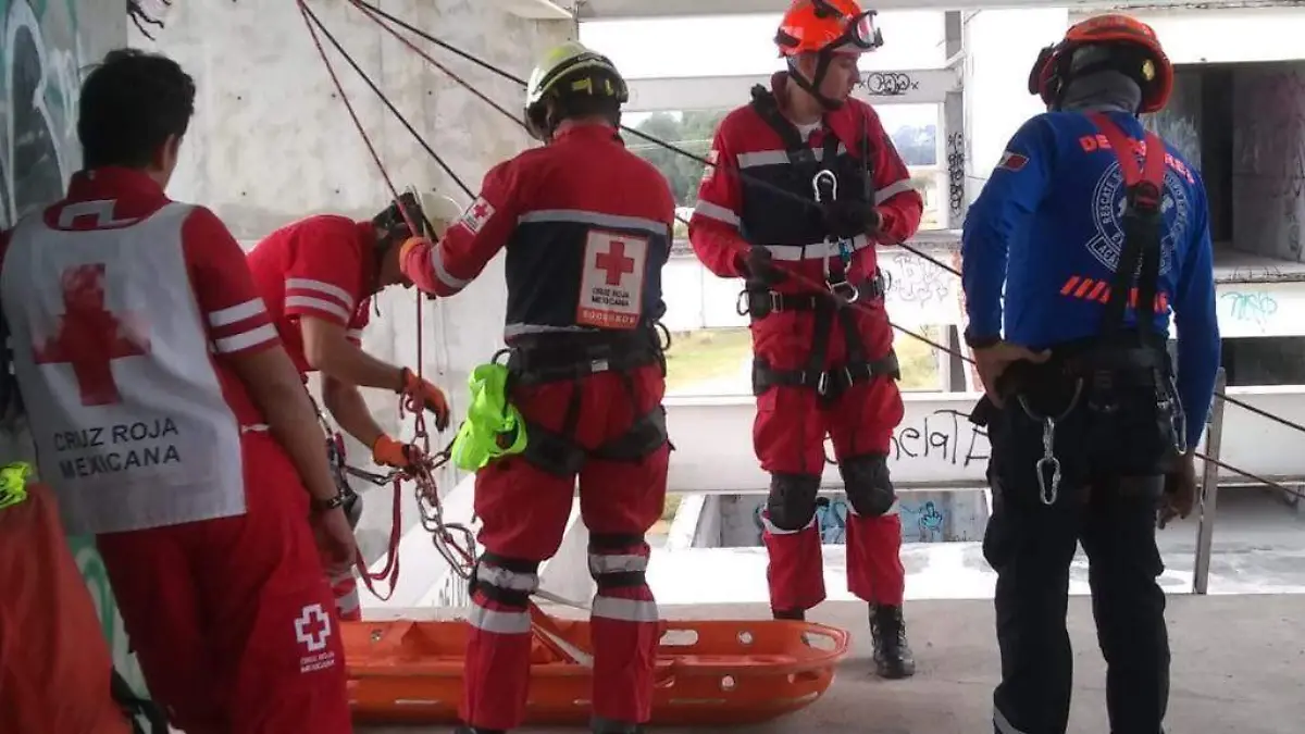 WhatsApp Image 2021-11-17 at 10.45.53 AM