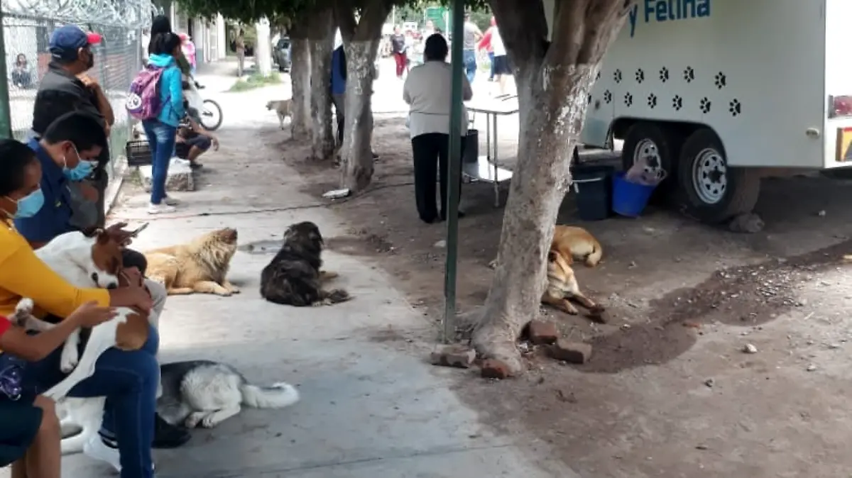 En Santiago de Cuenda