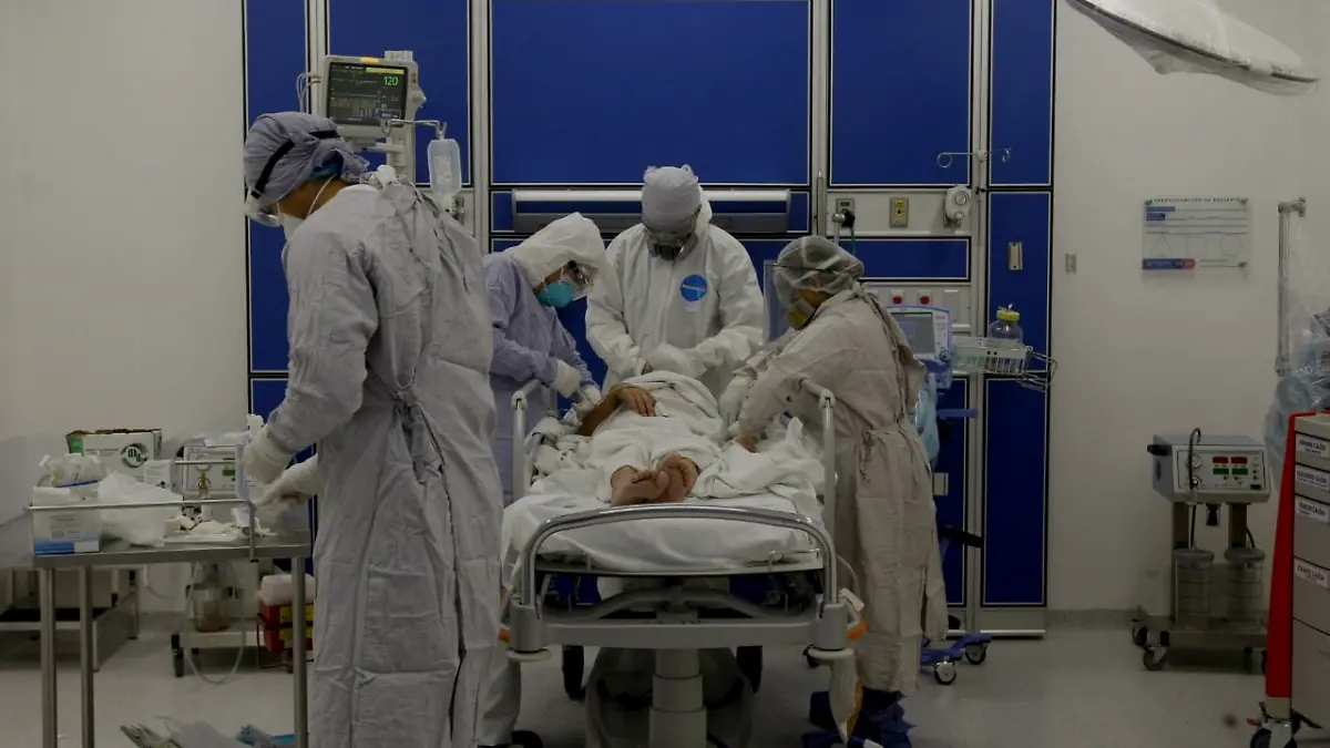 WhatsApp Image 2021-09-26 at 2.55.56 PM