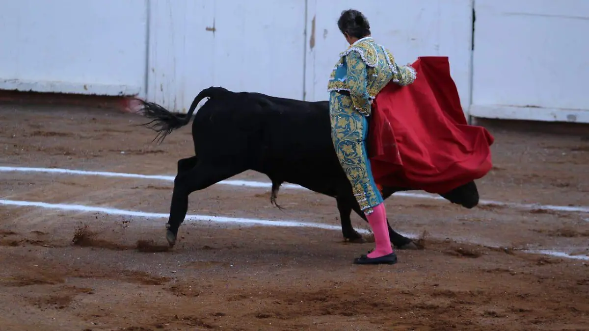 TOROS (6)