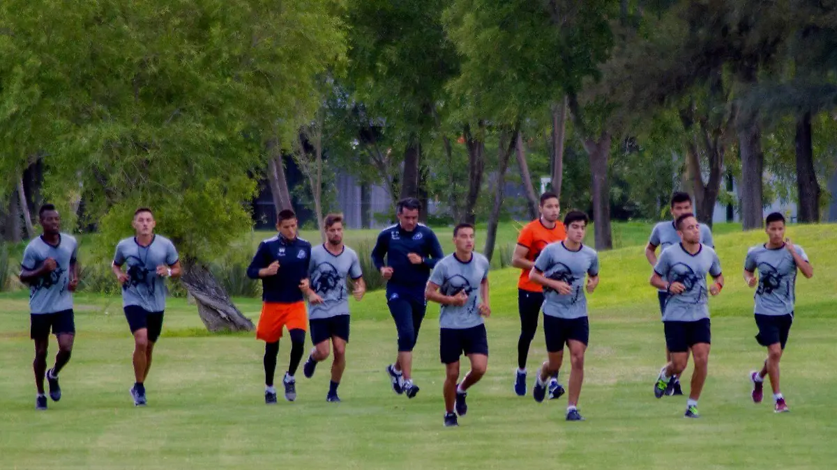 El cuadro cajetero ok