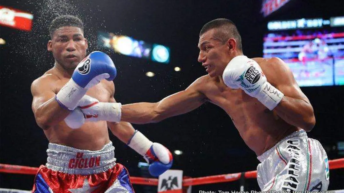 El pugilista