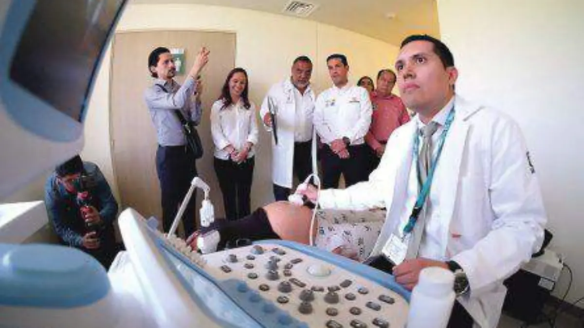 IMSS-154-445x314
