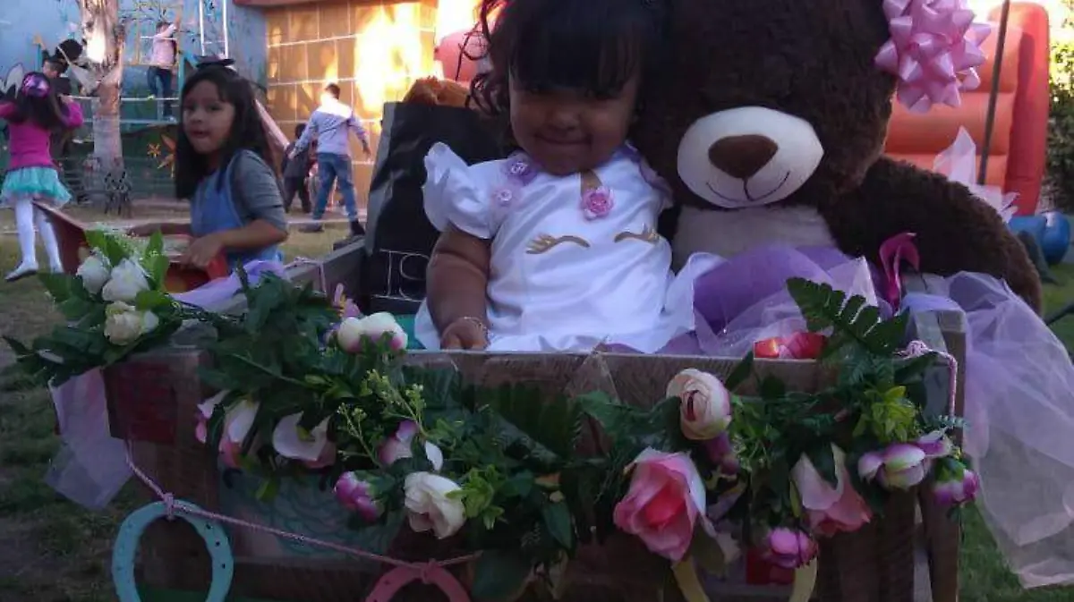 IMG-20190130-WA0002 okokok