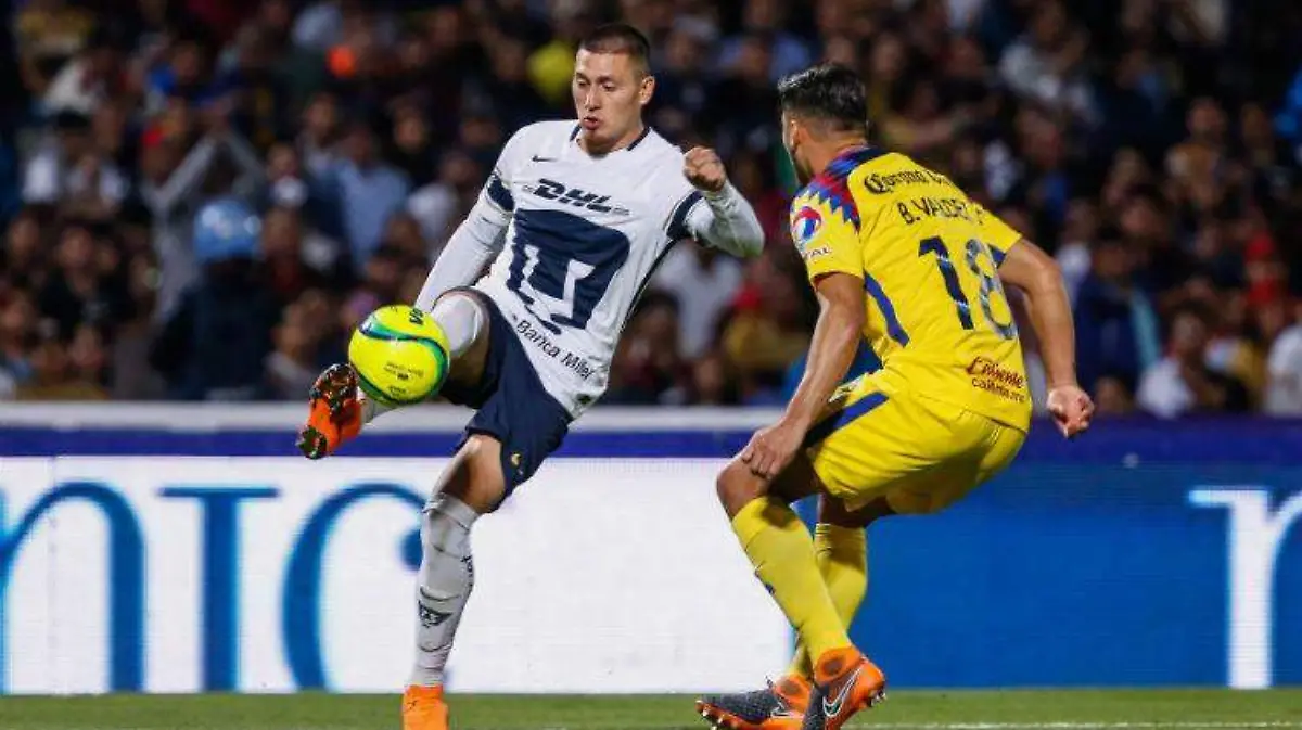 nicolas castillo 