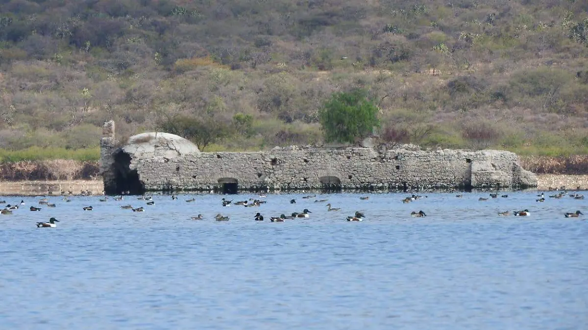 Invitó a las personas para que no traten de interferir con sus periodos de descanso