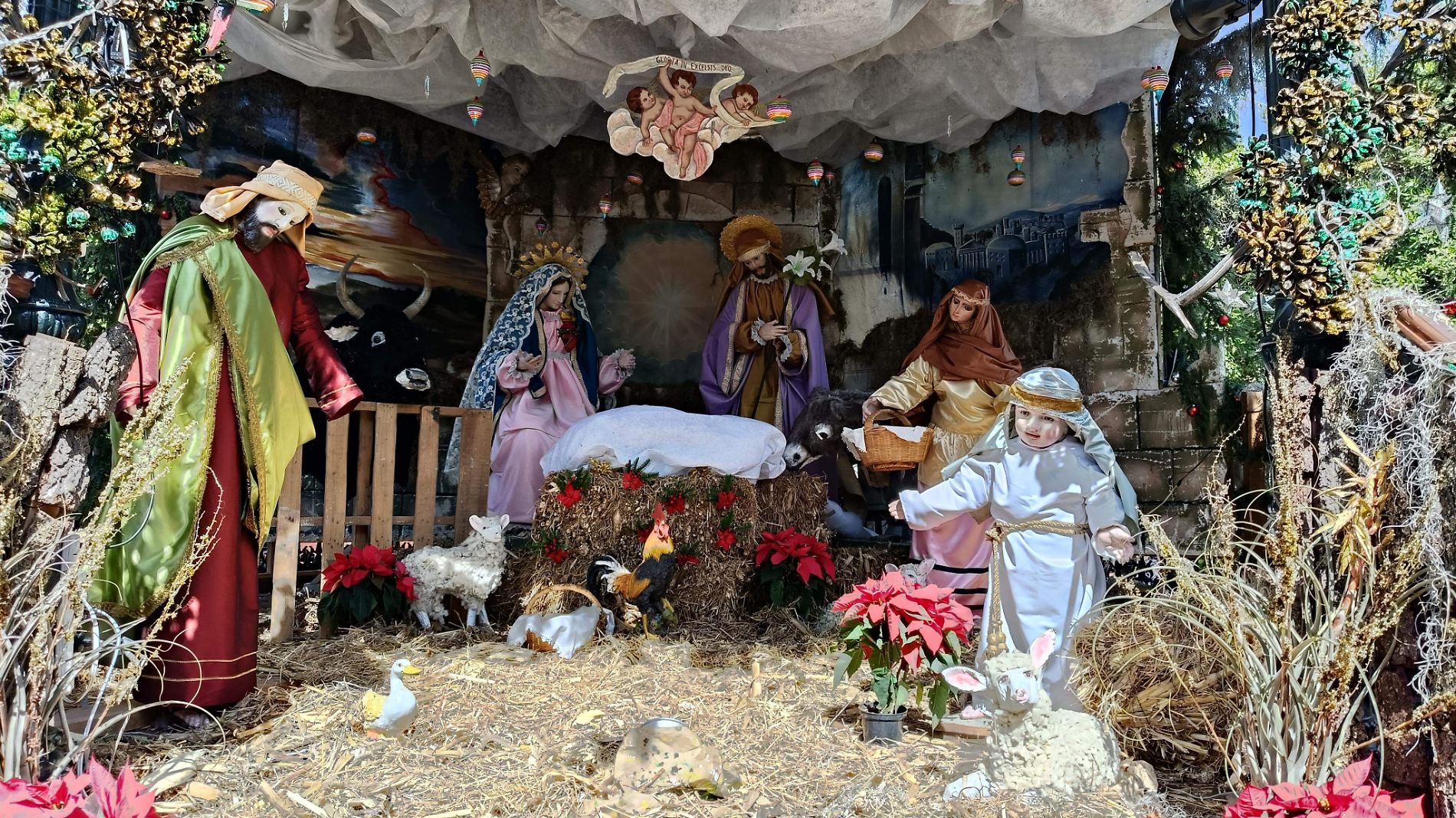 navidad