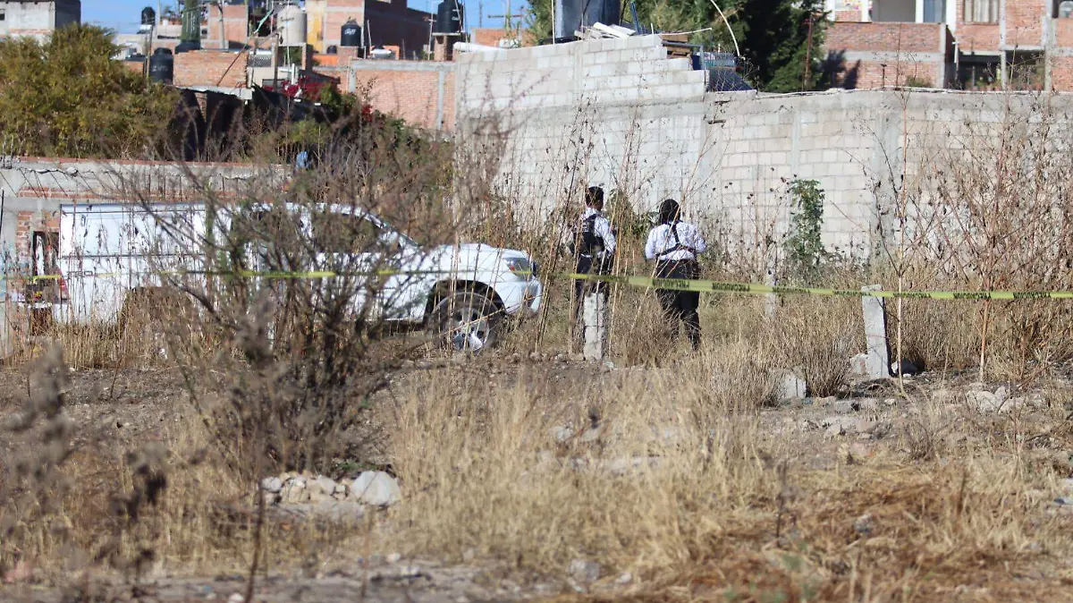 asesinatocoloniaguanajuatito-peritos